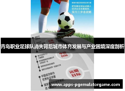 青岛职业足球队消失背后城市体育发展与产业困境深度剖析