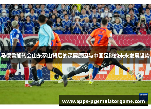 马德鲁加转会山东泰山背后的深层原因与中国足球的未来发展趋势