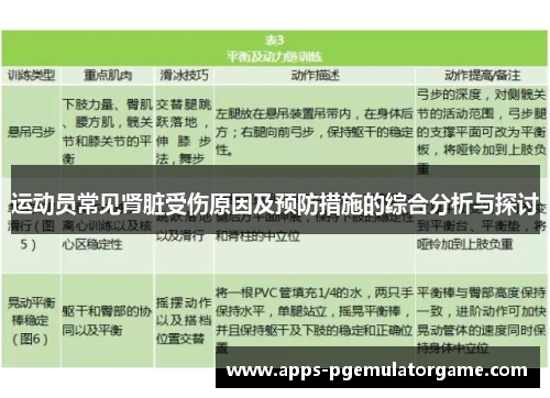 运动员常见肾脏受伤原因及预防措施的综合分析与探讨