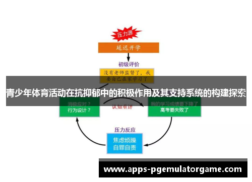 青少年体育活动在抗抑郁中的积极作用及其支持系统的构建探索
