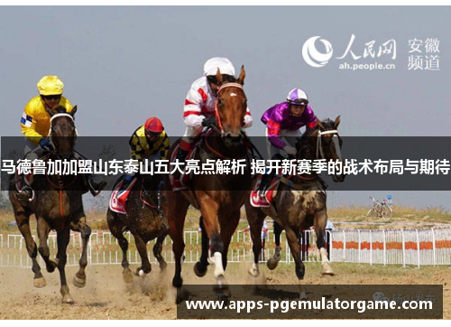 马德鲁加加盟山东泰山五大亮点解析 揭开新赛季的战术布局与期待