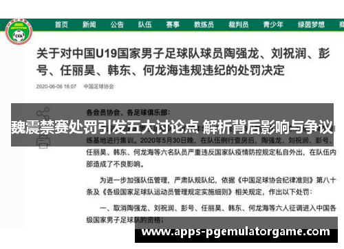 魏震禁赛处罚引发五大讨论点 解析背后影响与争议