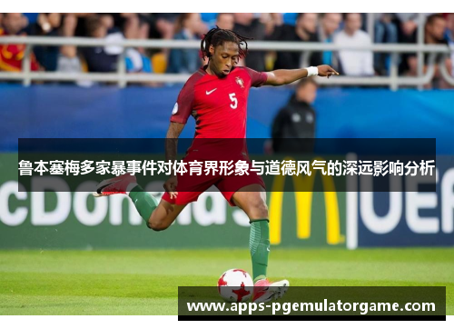 鲁本塞梅多家暴事件对体育界形象与道德风气的深远影响分析