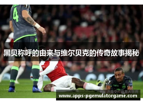 黑贝称呼的由来与维尔贝克的传奇故事揭秘